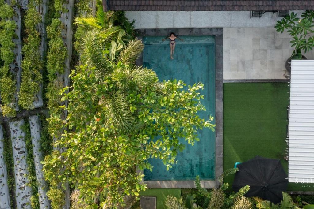 Batu Bolong Villa | Luxury Boho Style Villa with Grass Field View