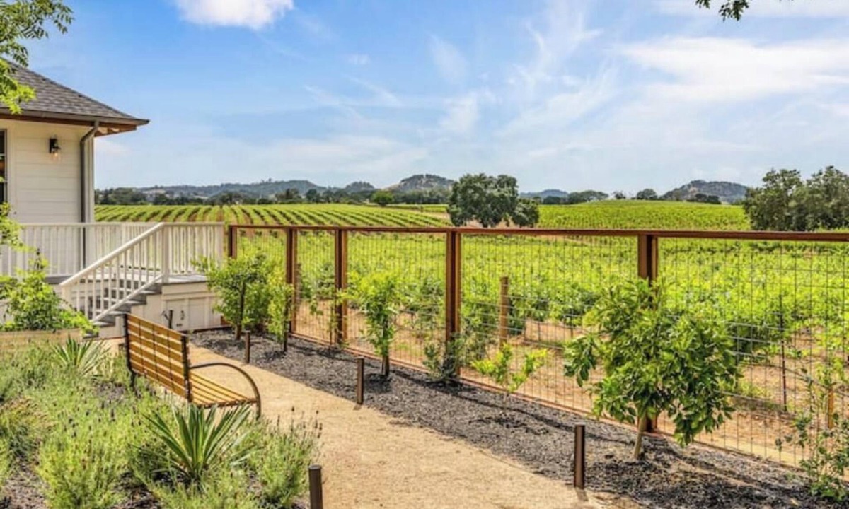 Healdsburg House | Luxury Healdsburg Estate & Vines