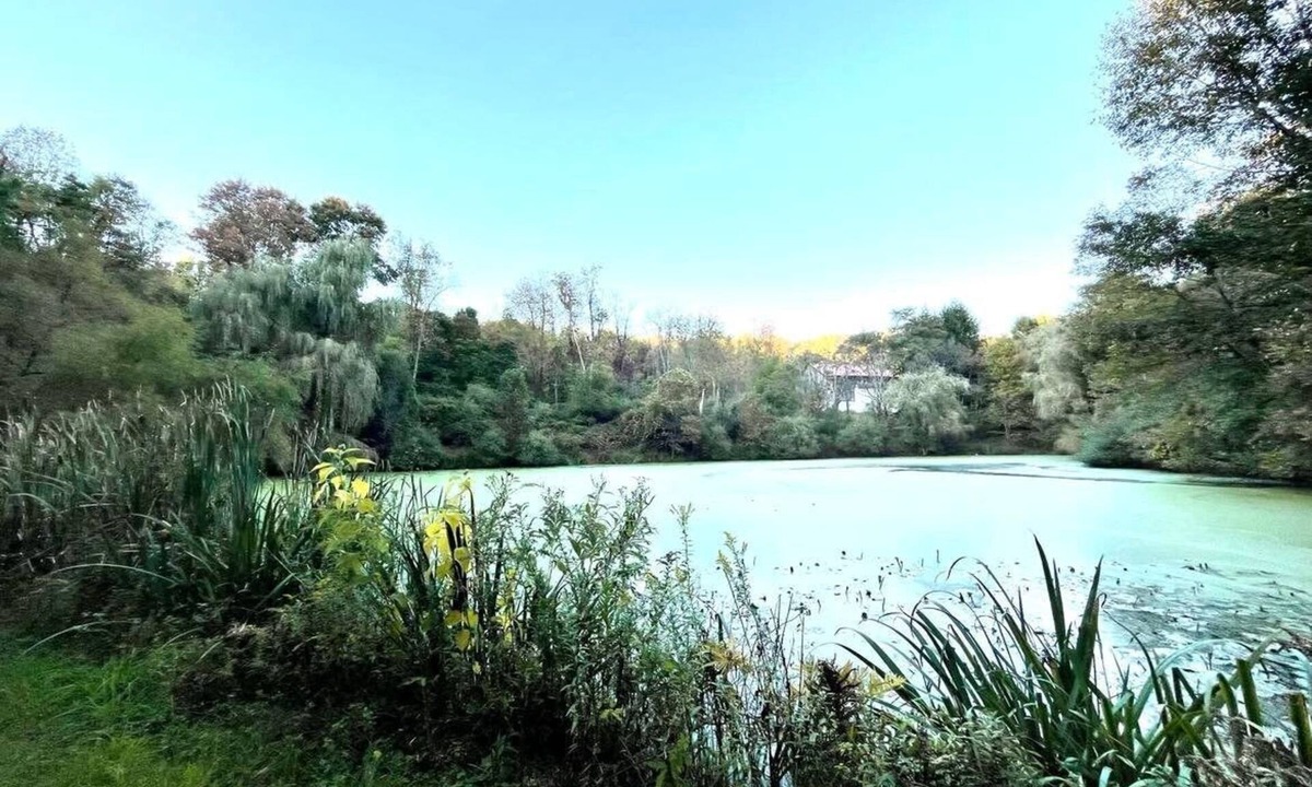 Spring Church House | Luxury Hideaway on Serene and Private Acreage