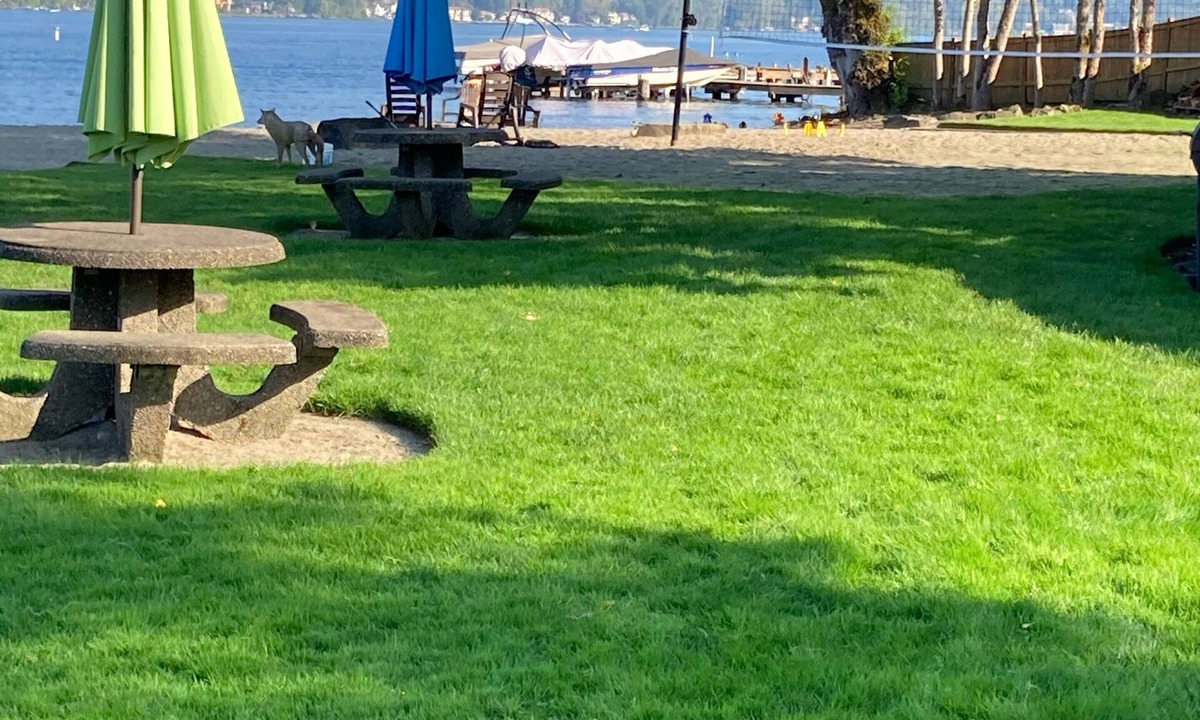 Viewpoint Condo | Luxury Lakefront MS Corporate Apartment with boat slip & lift included. Eagles!