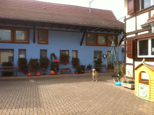 Lipsheim House | Mélodies d'Alsace