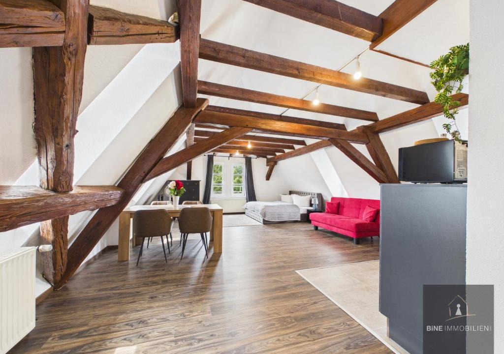 Steinheim an der Murr Apartment | Mühlen Traum Studio 41