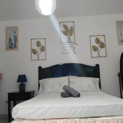 Alcoy Hotel | M-J Room Rental