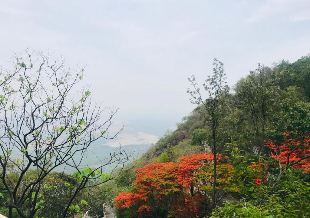 Chikkamagaluru House | Madla Mane