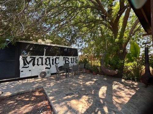Chlorakas Other | Magic Bus