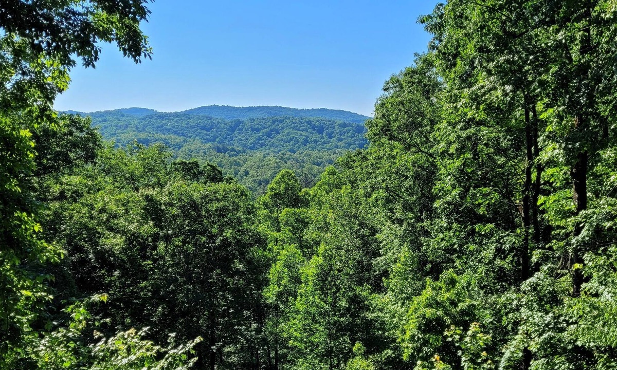 Brevard Cabin | Magic Mountain at Connestee Falls - Renovated 3/2 - Great Views!