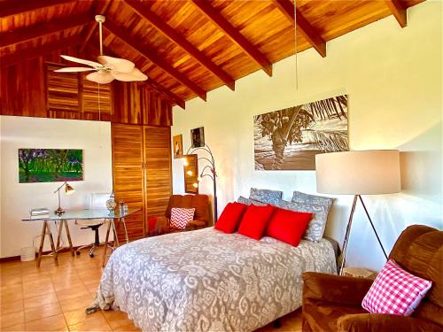 Garabito Apartment | Magic Mountain Views Studio