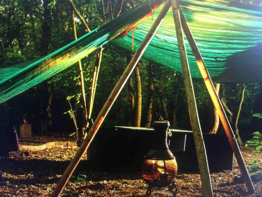 Broad Oak Other | Magical Forest yurt