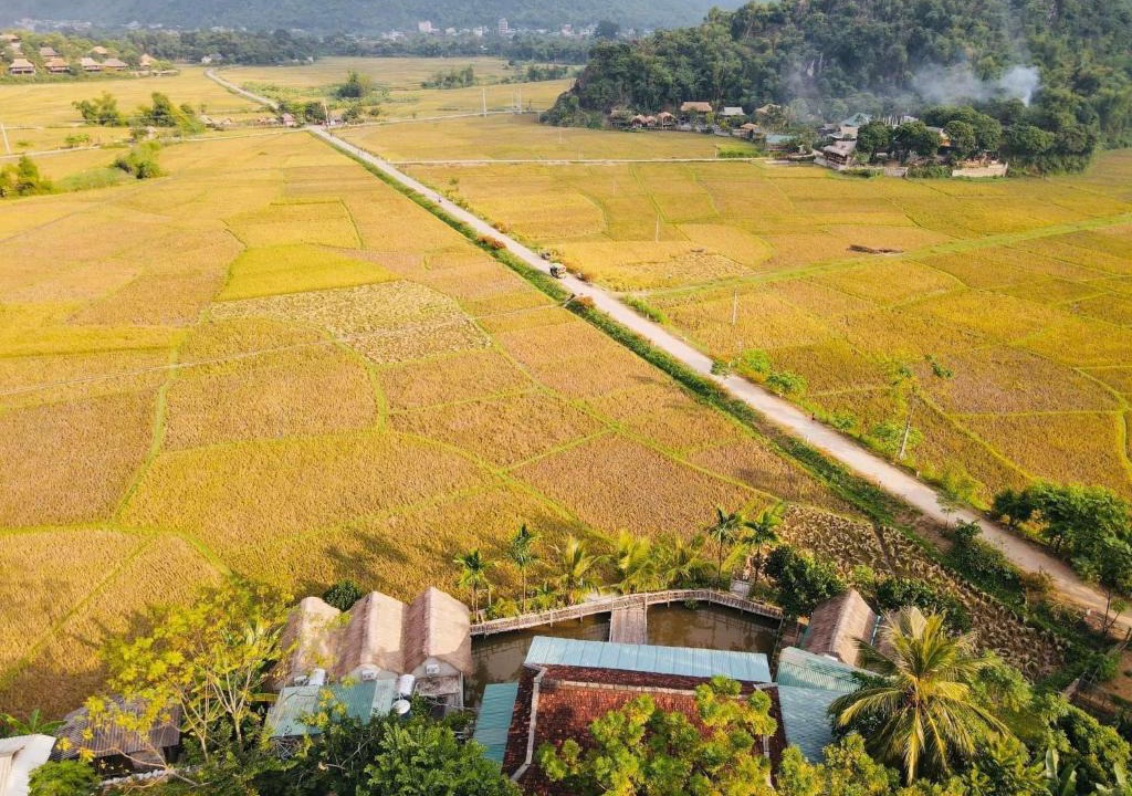 Mai Chau House | mai chau rice fields homestay