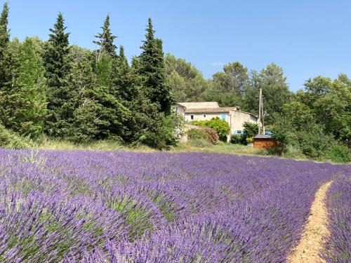 Rustrel House | Maison au Colorado Provençal