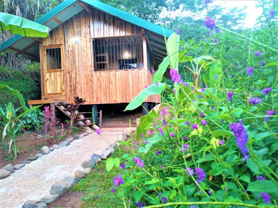 Lepanto House | Maison avec wifi climatisation jacuzzi