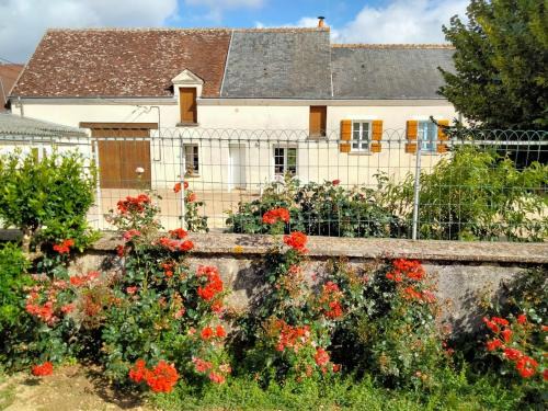 Saint-Georges-sur-Cher House | Maison dans les vignes - proche Chenonceau Beauval