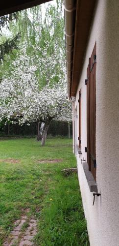 Nogent-sur-Vernisson House | Maison dans un cadre verdoyant pour amoureux de grands espaces