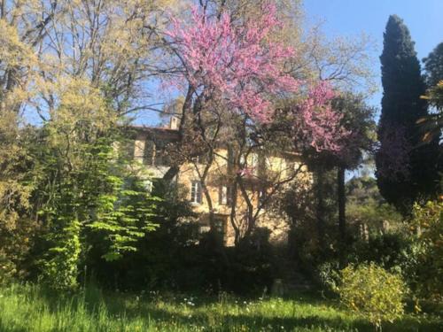 Gairaut House | Maison de charme dans les collines niçoises