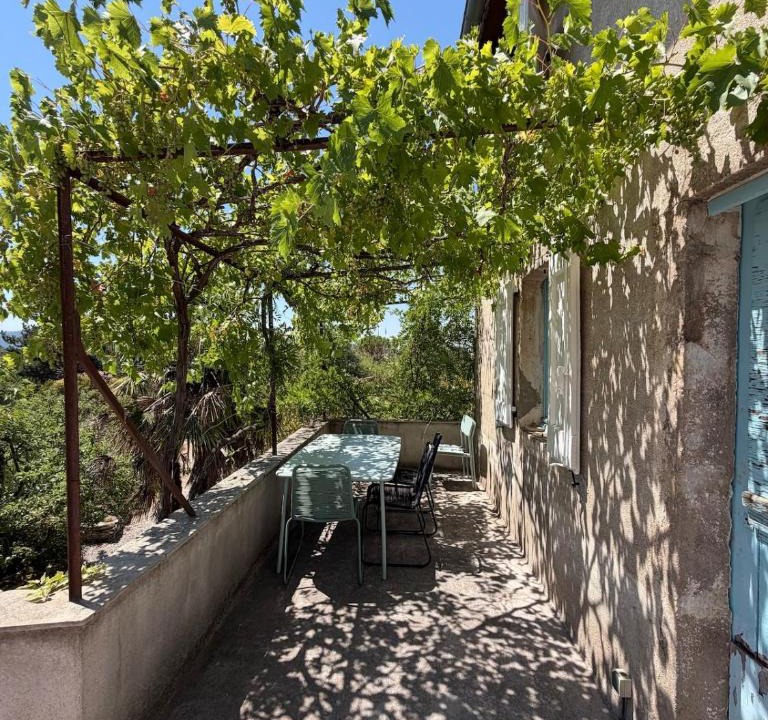 Millau House | Maison de vigne Aforeva