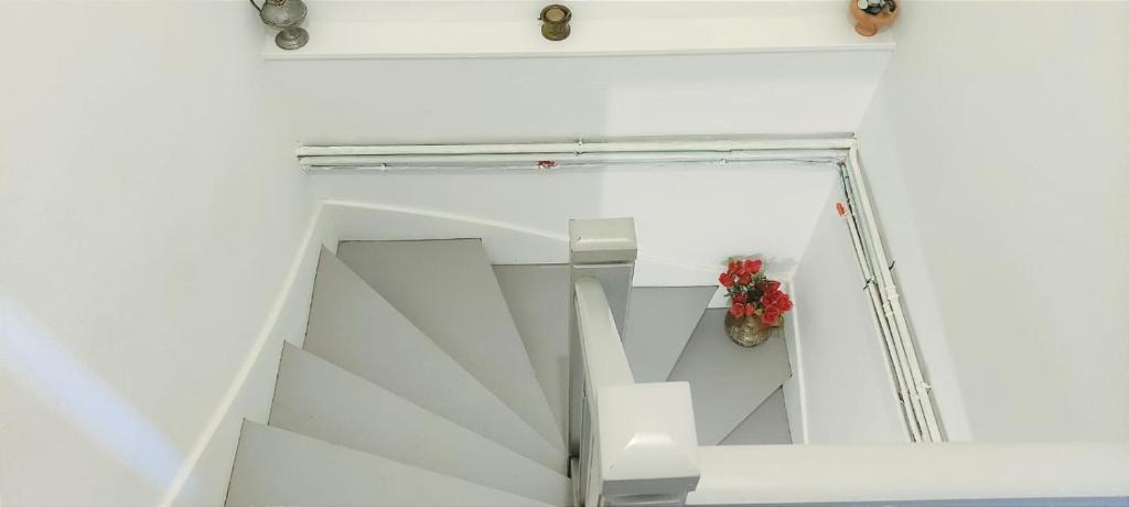 Montlucon House | Maison de ville