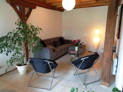 Grenade-sur-l'Adour House | Maison setem