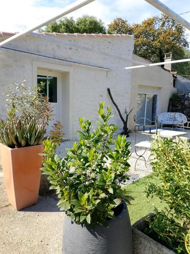 Caremeau House | Maisonnette Soleil
