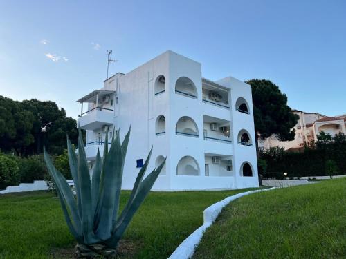 Koukounaries Apartment | Maistrali Studios Skiathos
