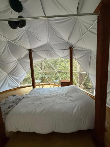 Zacatlan Other | MANDALA CAMP