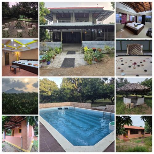 Pollachi House | Mango Bite Farmstay
