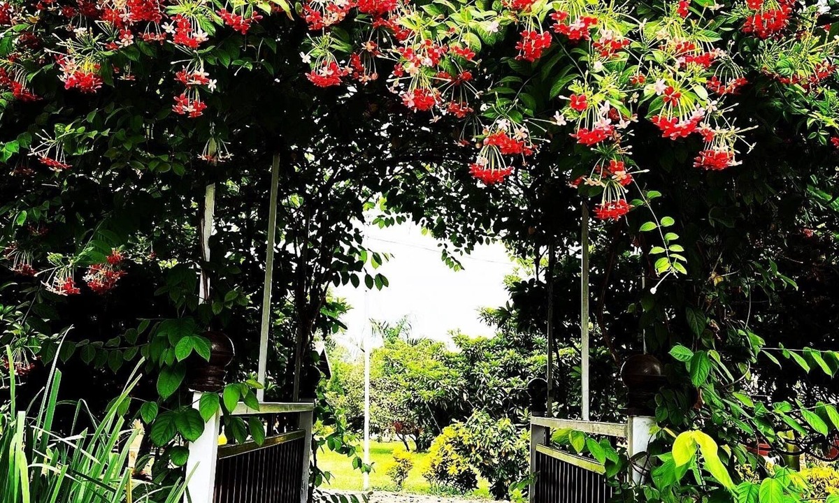 Karjat Hotel | Mango Tree Farm