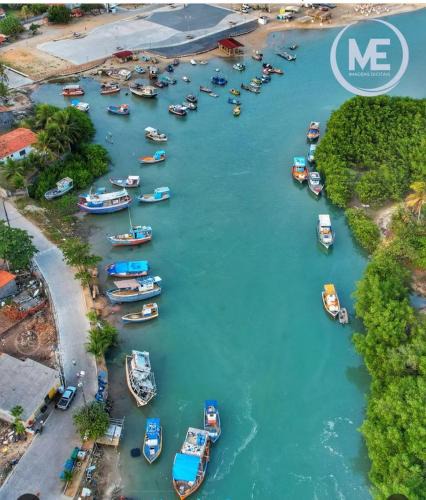 Maxaranguape Apartment | Mangue em flor