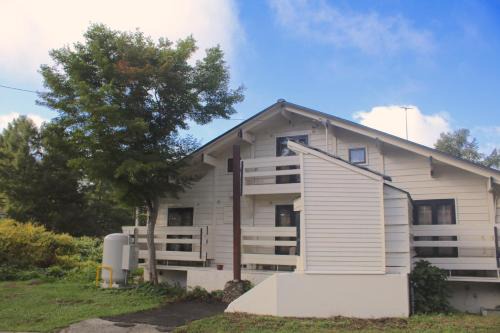 Madarao Mountain Resort Hostel | Maple House Backpackers
