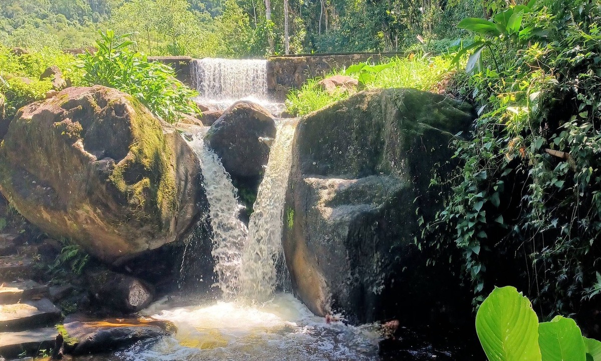 Engenheiro Passos Hostel | Maple Leaf Ecovillage Camping & Reserve