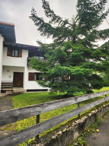 Calalzo di Cadore House | Margiolà