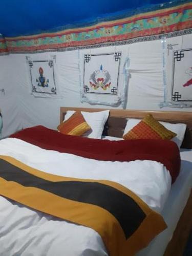 Ladakh Other | Martsemik Camping Spangmik