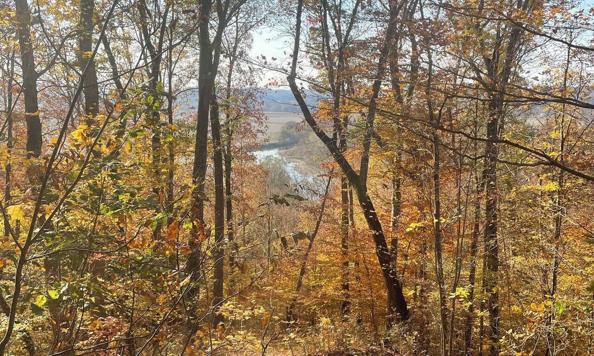 Chillicothe Cabin | Marvelous 5-bedroom cabin with AC in charming Chillicothe great family fishing