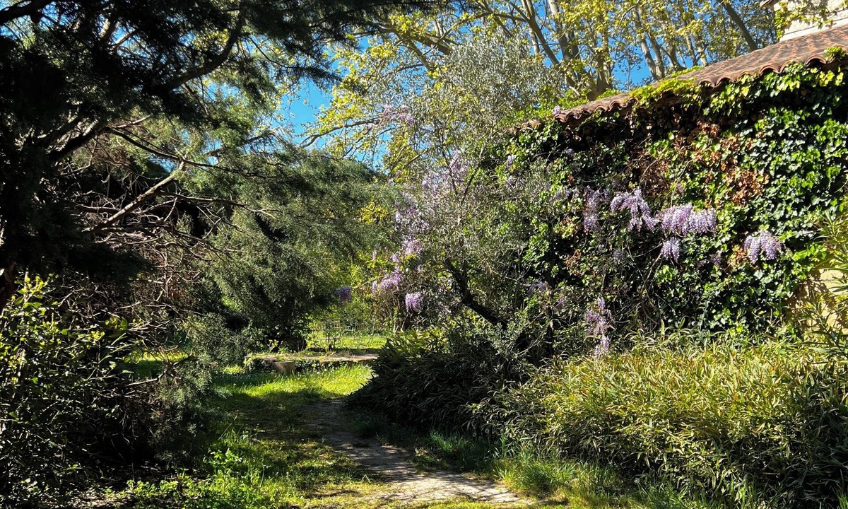 Graveson House | Mas Authentique Dans les Alpilles à 5 mn de Saint Rémy de Provence