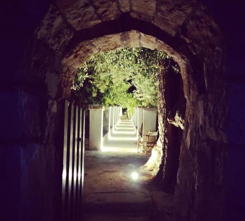 Macchia di Monte Bed & Breakfast | Masseria Calò