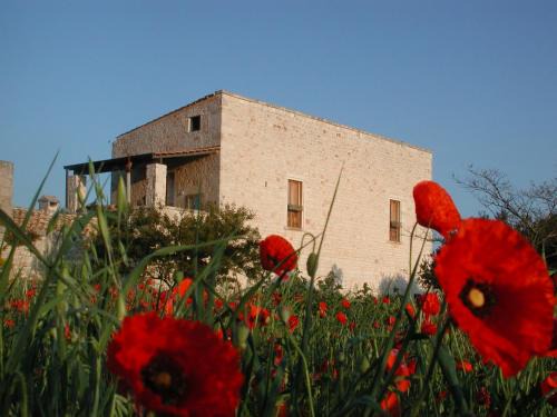 Conversano Bed & Breakfast | Masseria dei Monelli