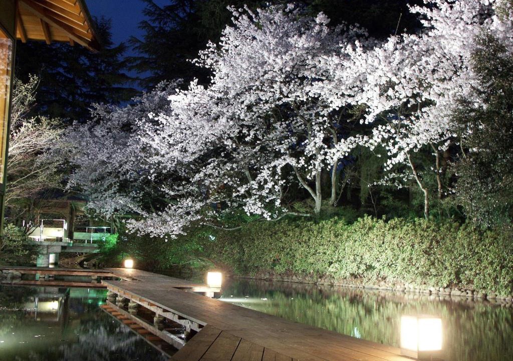 Nomi Hotel | Matsusaki