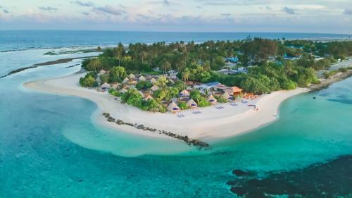 Laamu Atoll Resort | Maverick Surf and Dive Boutique Hotel, Free Speedboat Service KDO, Stay 10 Nights Enjoy 1 Night Free, Kids Stay Free