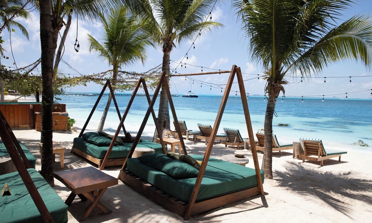 Isla Mujeres Hotel | Mayan Monkey Isla Mujeres | Social Hotel