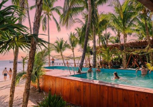 Isla Mujeres Hotel | Mayan Monkey Isla Mujeres - Social Hotel