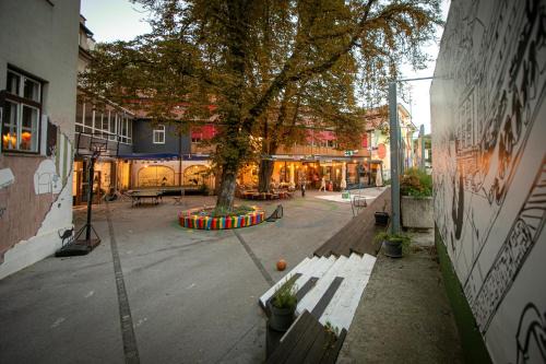 Celje Hostel | MCC Hostel