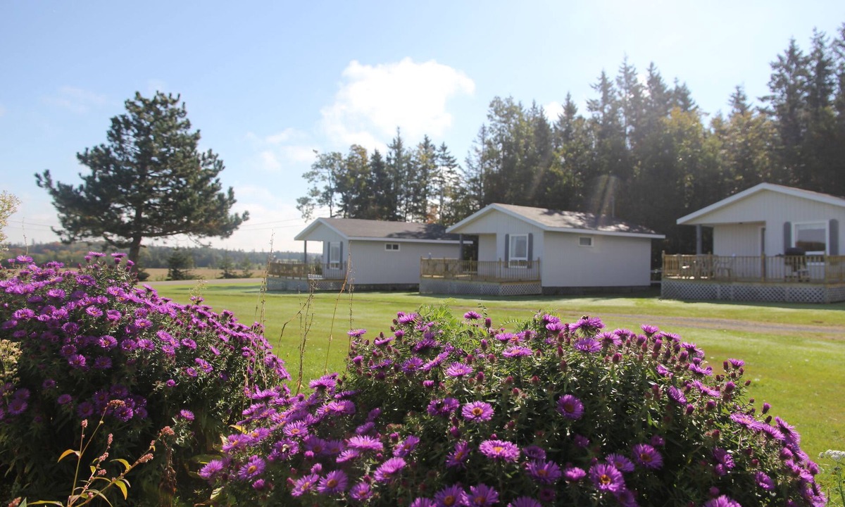 Miltonvale Park Cottage | Meadowview Cottages