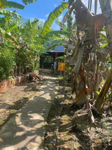 Long Ho House | Mekong home homestay