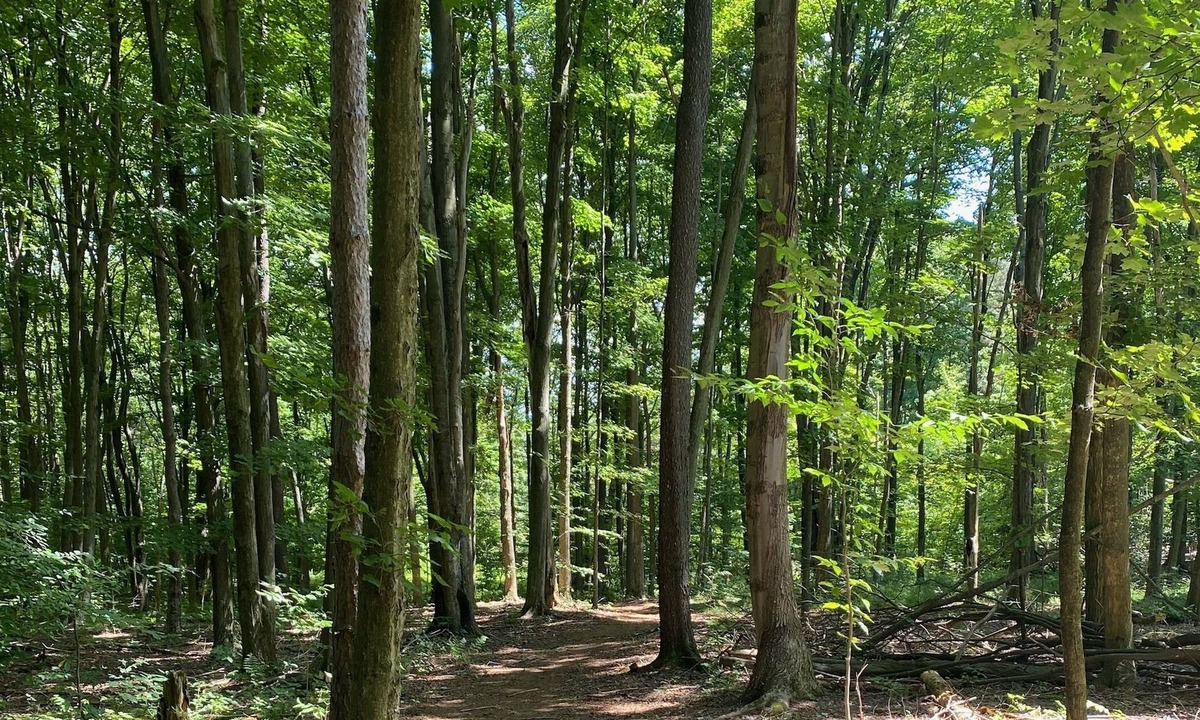 Bemus Point Cabin | Memory Lane country living 3 miles from the amazing town of Bemus Point!