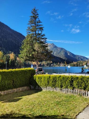 Champex-Lac House | Mes petits nids