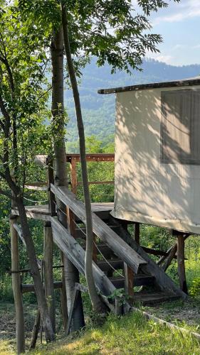 Breaza de Jos Other | Mesteceni Glamping