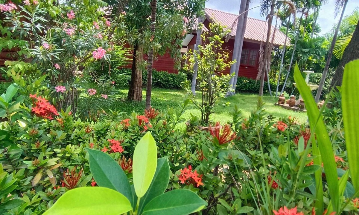 Thani Hotel | MG Guest House
