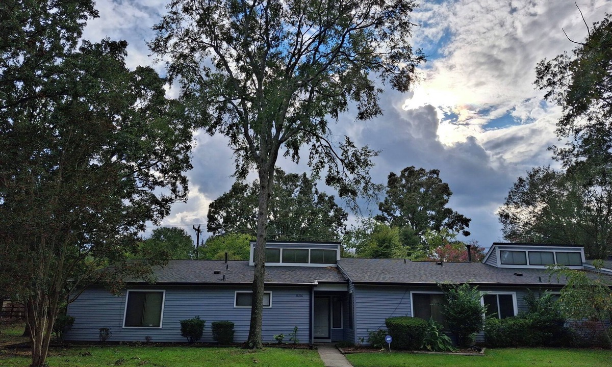 McAlpine Apartment | Mid Century Modern Spacious 4BR Home All Inclusice South Charlotte
