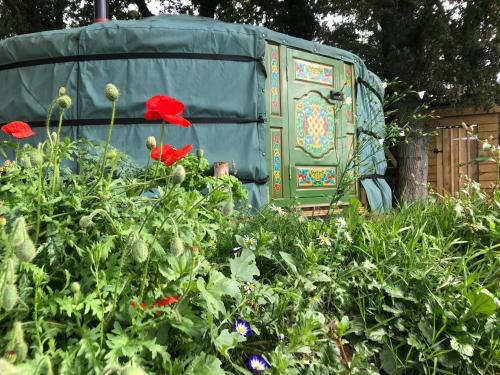 Colyton Other | Mill Stream Yurt