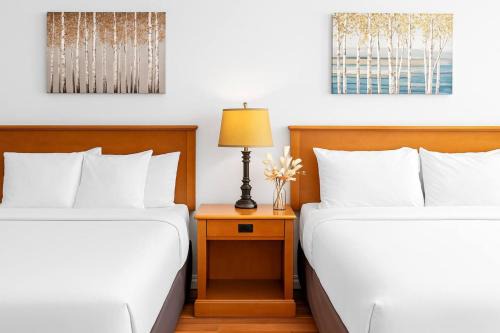 Canmore Apartment | Mini Getaway with Mountain Views Near Banff