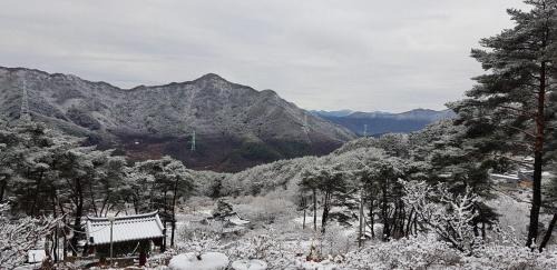 Miryang House | Miryang Todam Hanok